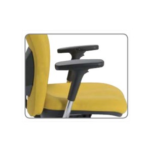 Fauteuil Xenia 510