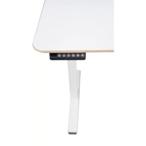 Salli OptiDesk
