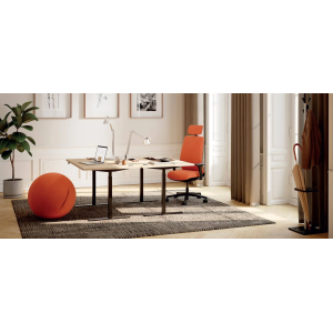 Bureau électrique  - plateau ACACIA  (Flex’UP ONE)