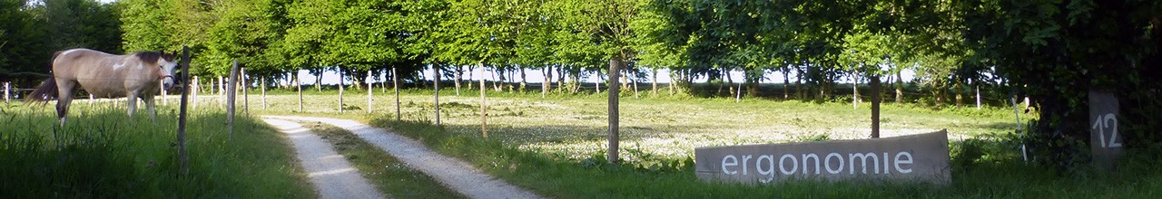 Toute l'équipe de GDLE vous souhaite une belle année 2022 !